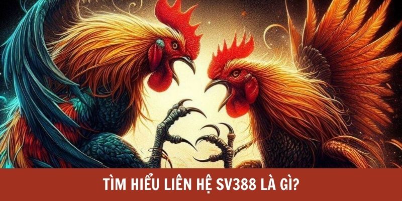 Giới thiệu đôi nét về phương thức liên hệ SV388