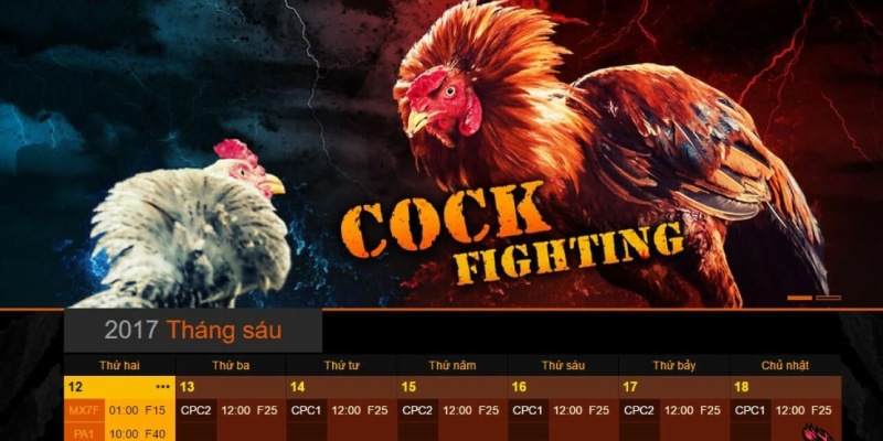 Đá gà là sảnh game nổi trội độc quyền thương hiệu SV388